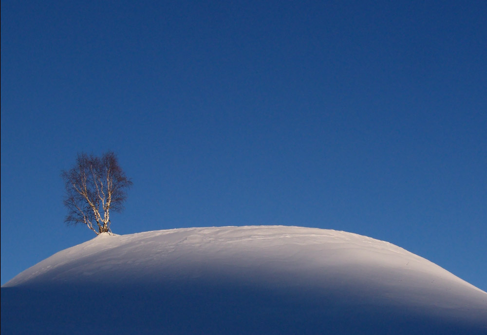 Das Sonnenlicht geht... (Version 2)