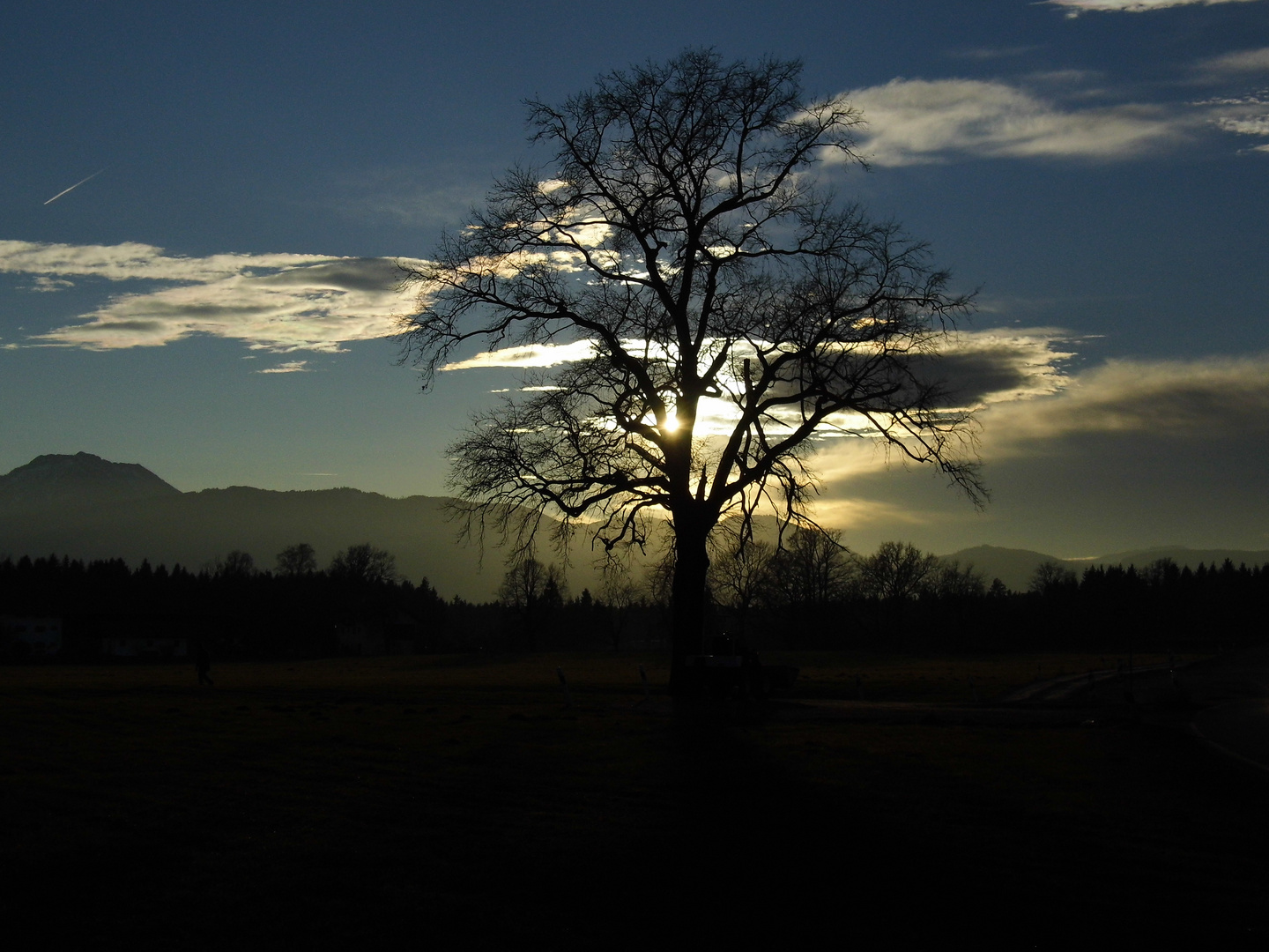 das sonnige Gegenlicht