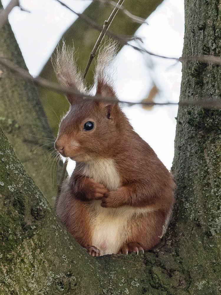 Das Sonntagsfoto