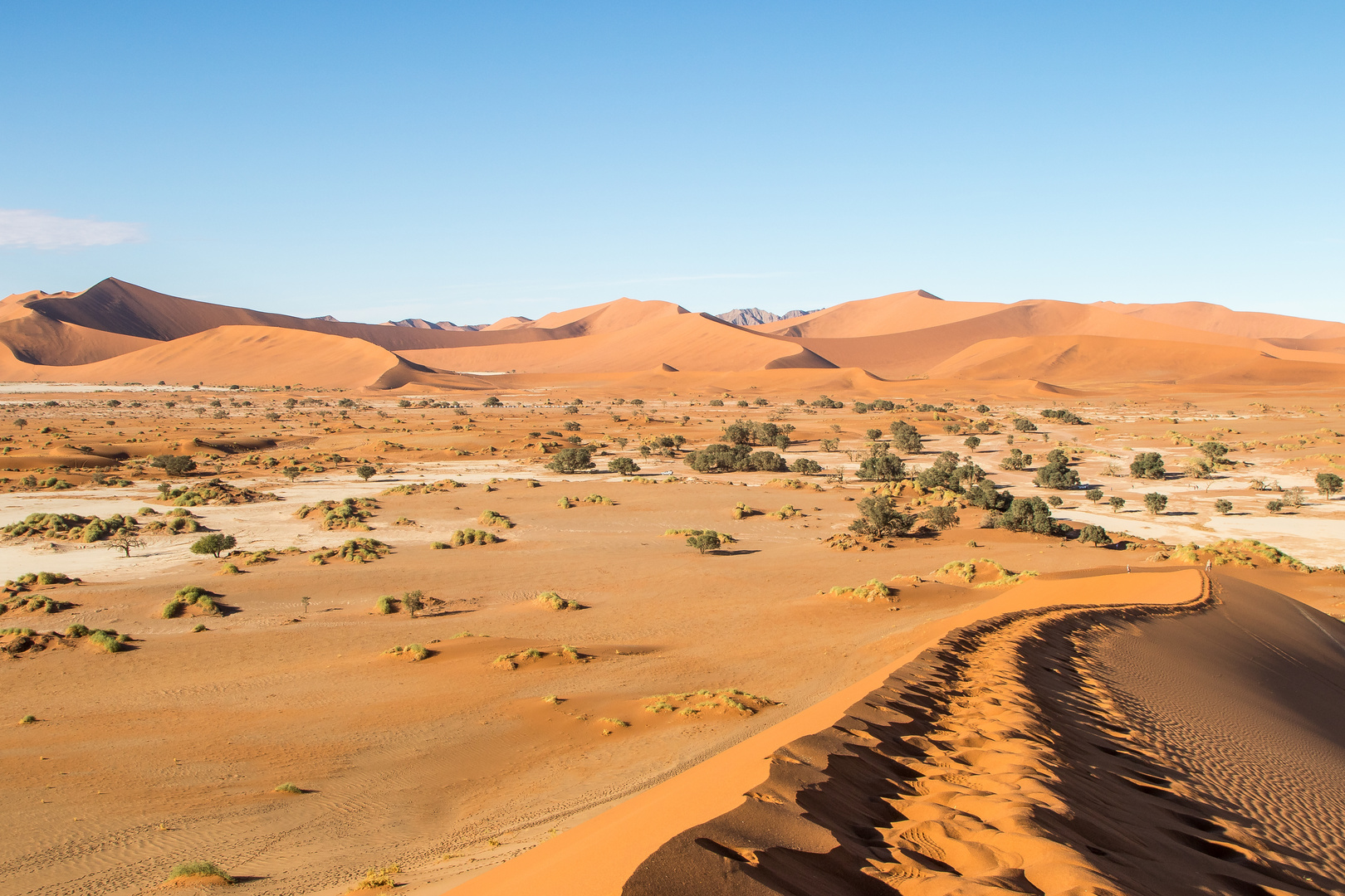 Das Sossusvlei im Herzen Namibias - Eine einzigartige Natuschönheit