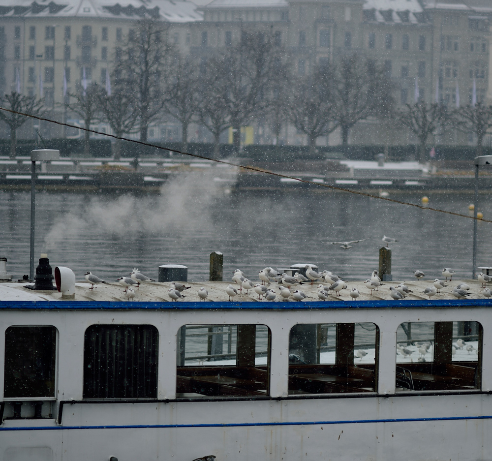 Das SPA Schiff mit Dampfsauna fand Punkermöve Jonathan nicht so dolle