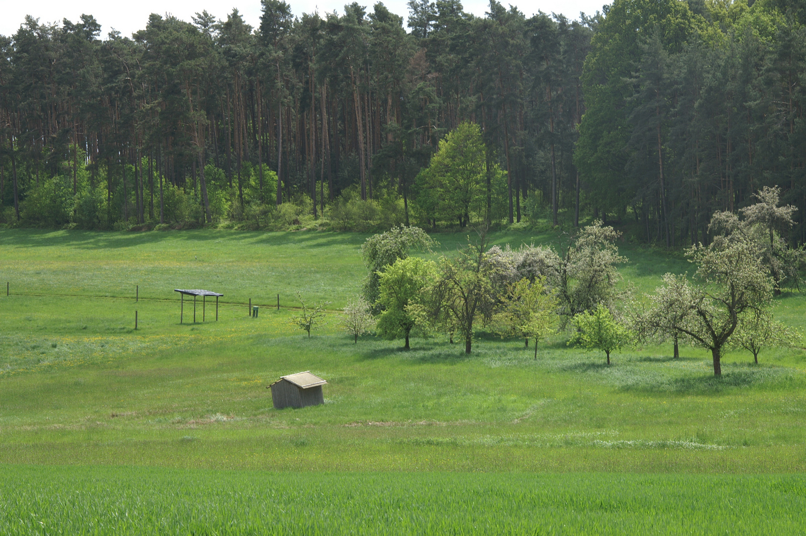 Das Spalter Hügelland  