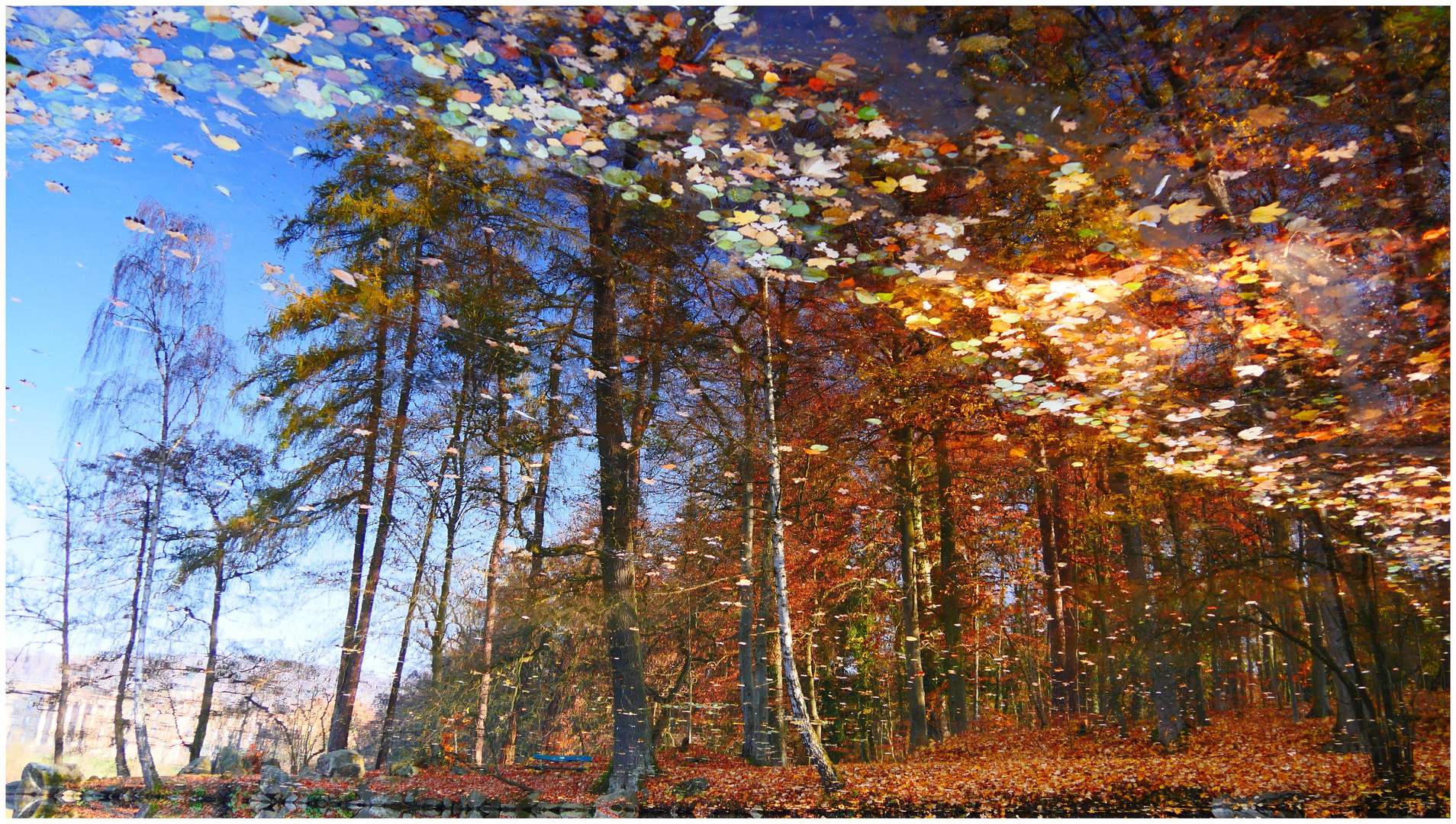Das Spiegelbild des Herbstes (II)