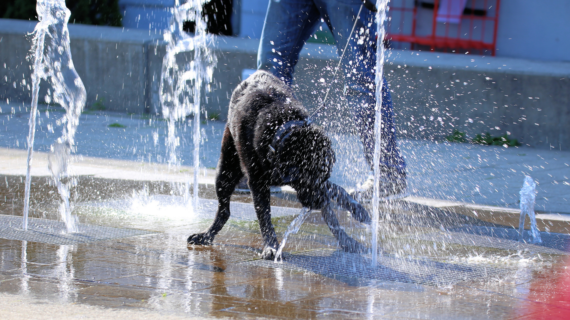 Das Spiel mit dem Wasser..