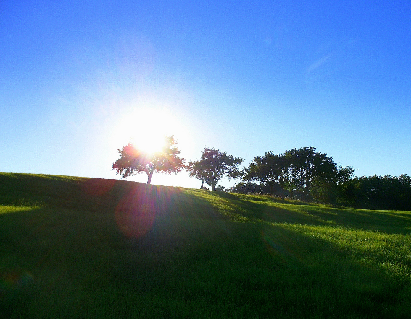 Das Spiel mit der Sonne