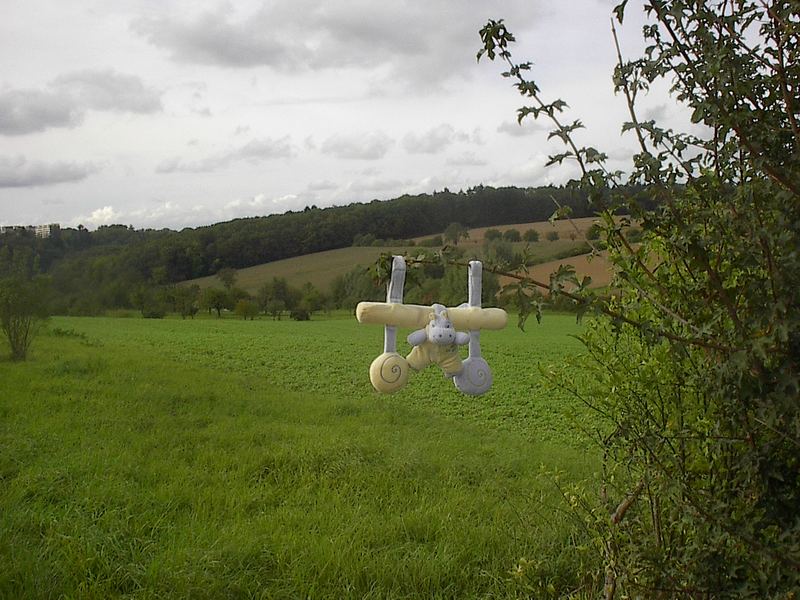 Das Spielzeug am baum