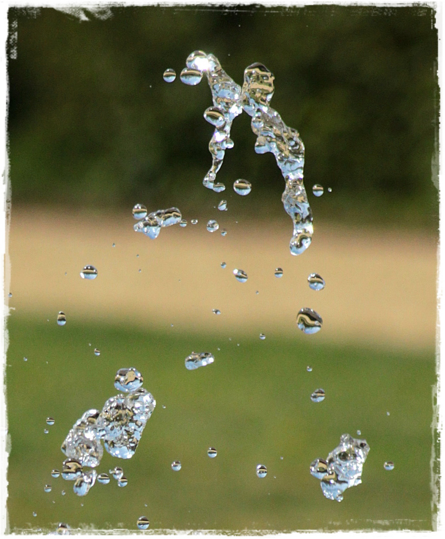 Das springende Tropfenpferd