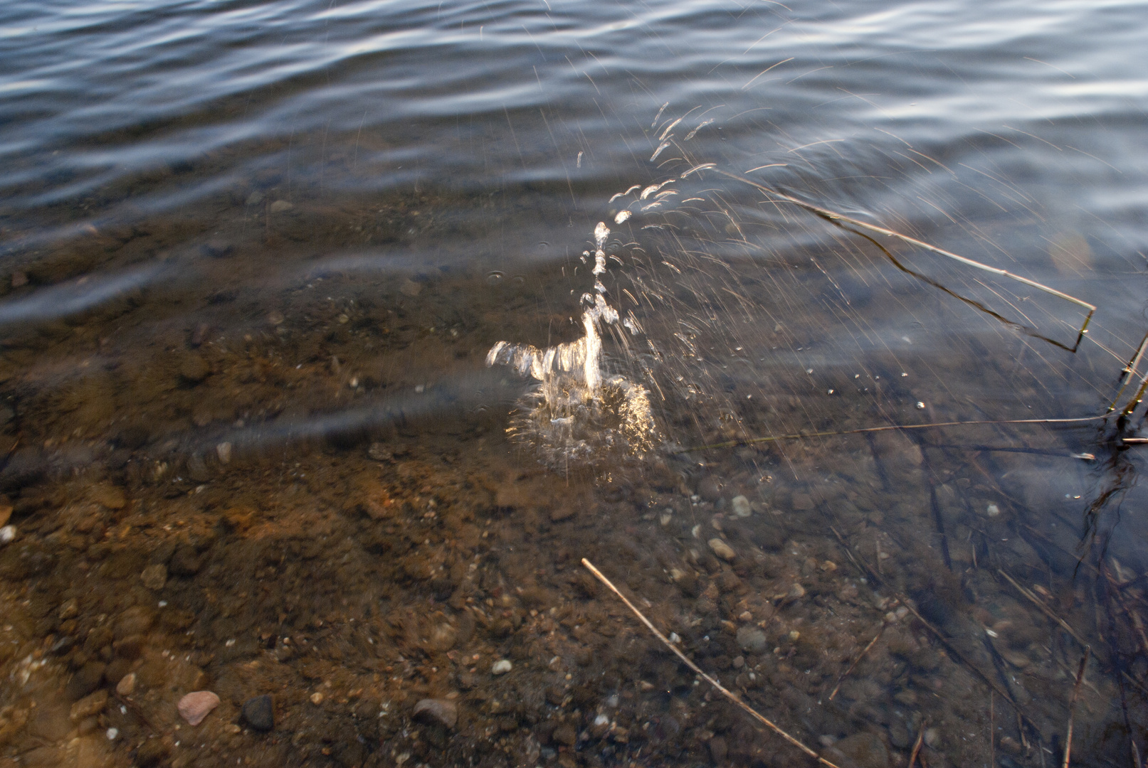 Das springende Wasser