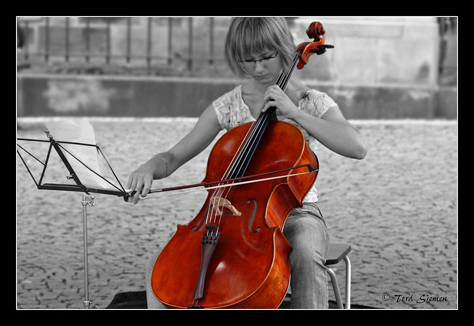 Das Ständchen der Cellistin