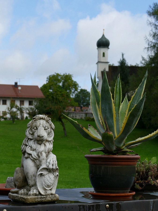 Das Standing der Salonlöwen