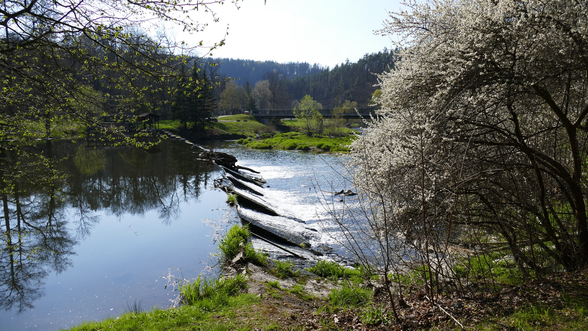 Das Stauwehr der weißen Elster