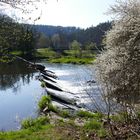 Das Stauwehr der weißen Elster