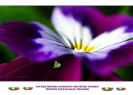 DAS STEHT EINER UND WACHT.....