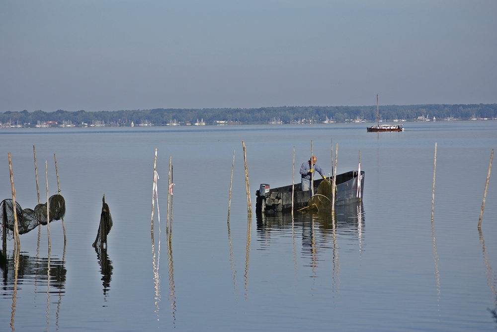 Das Steinhuder Meer