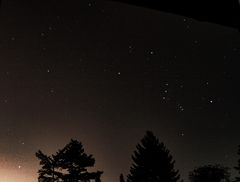 Das Sternbild Orion