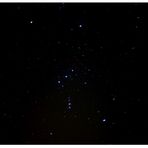 Das Sternenbild: Orion