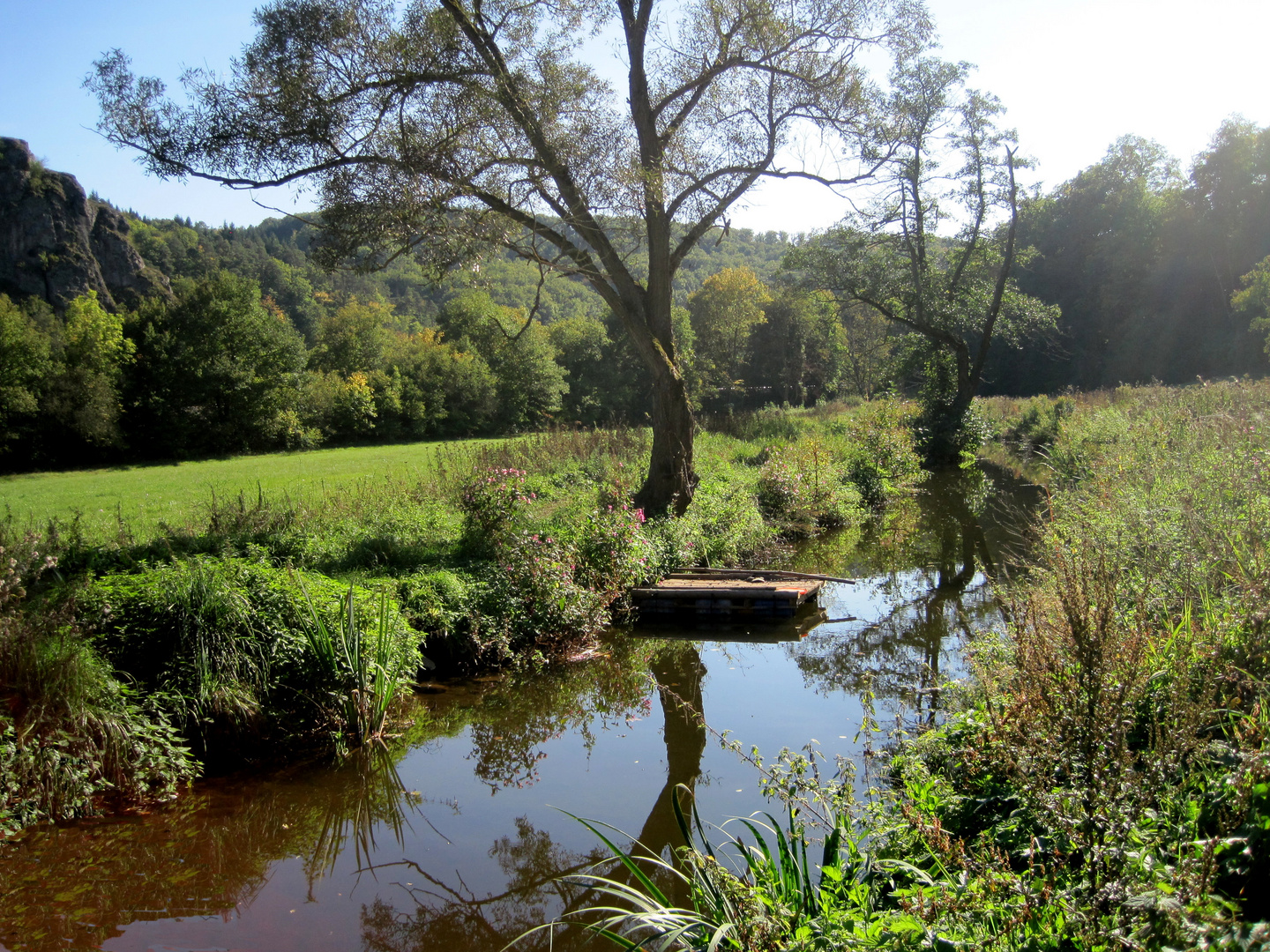 Das Stille Grün