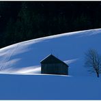 Das stille Träumen vom Alpsommer [ 1 ]