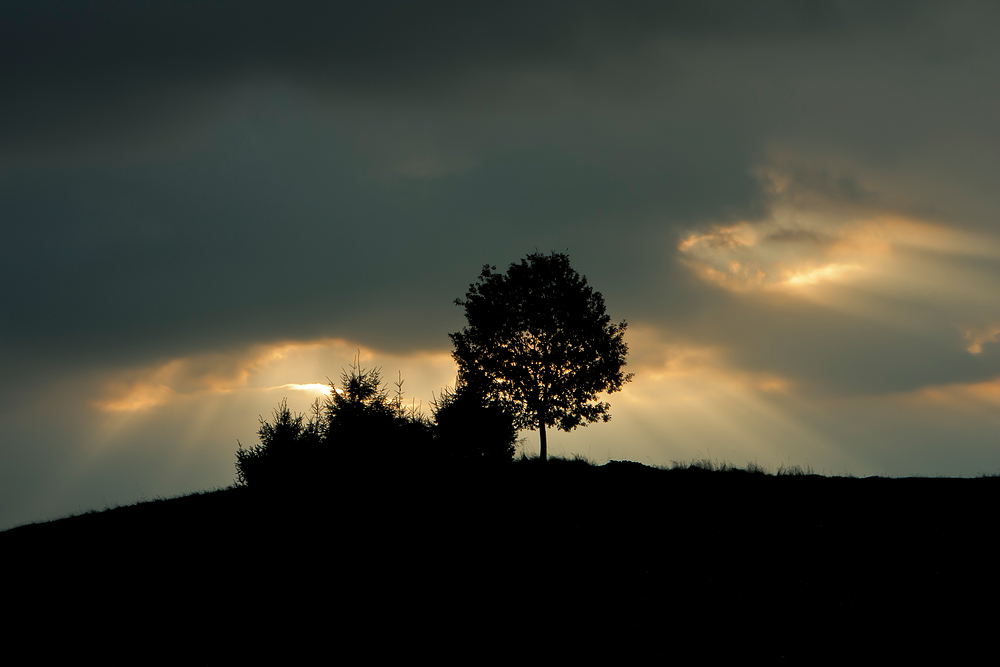 Das Strahlenspiel der Sonne