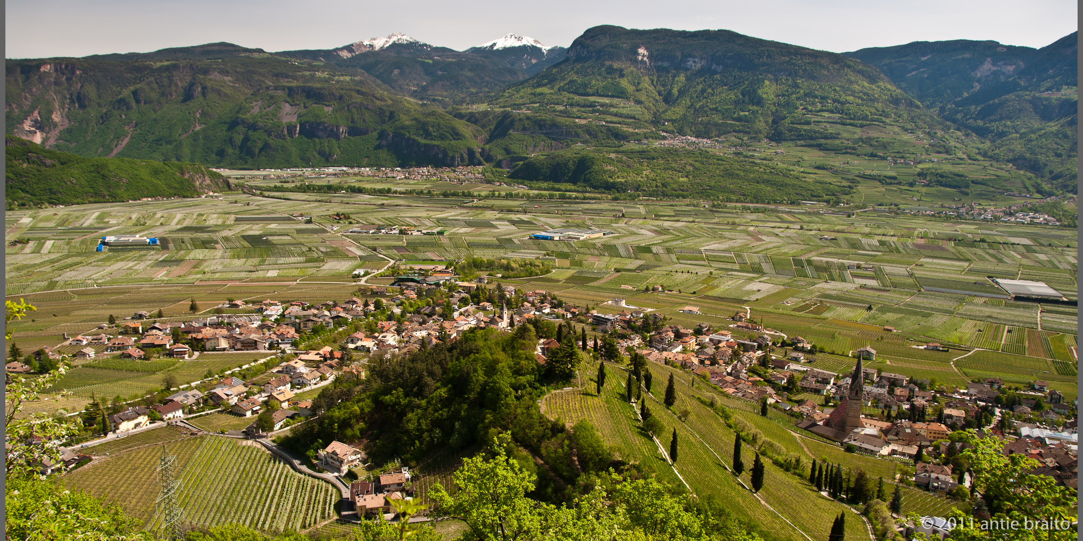 das Südtiroler Unterland bei voller Apfelblüte - im Vordergrund das Weindorf Tramin