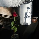 DAS SYMBOL DER ROSE