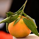 Das Tagesgeschäft von Heute ,Mandarine