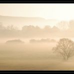 Das Tal der Blies im Morgennebel