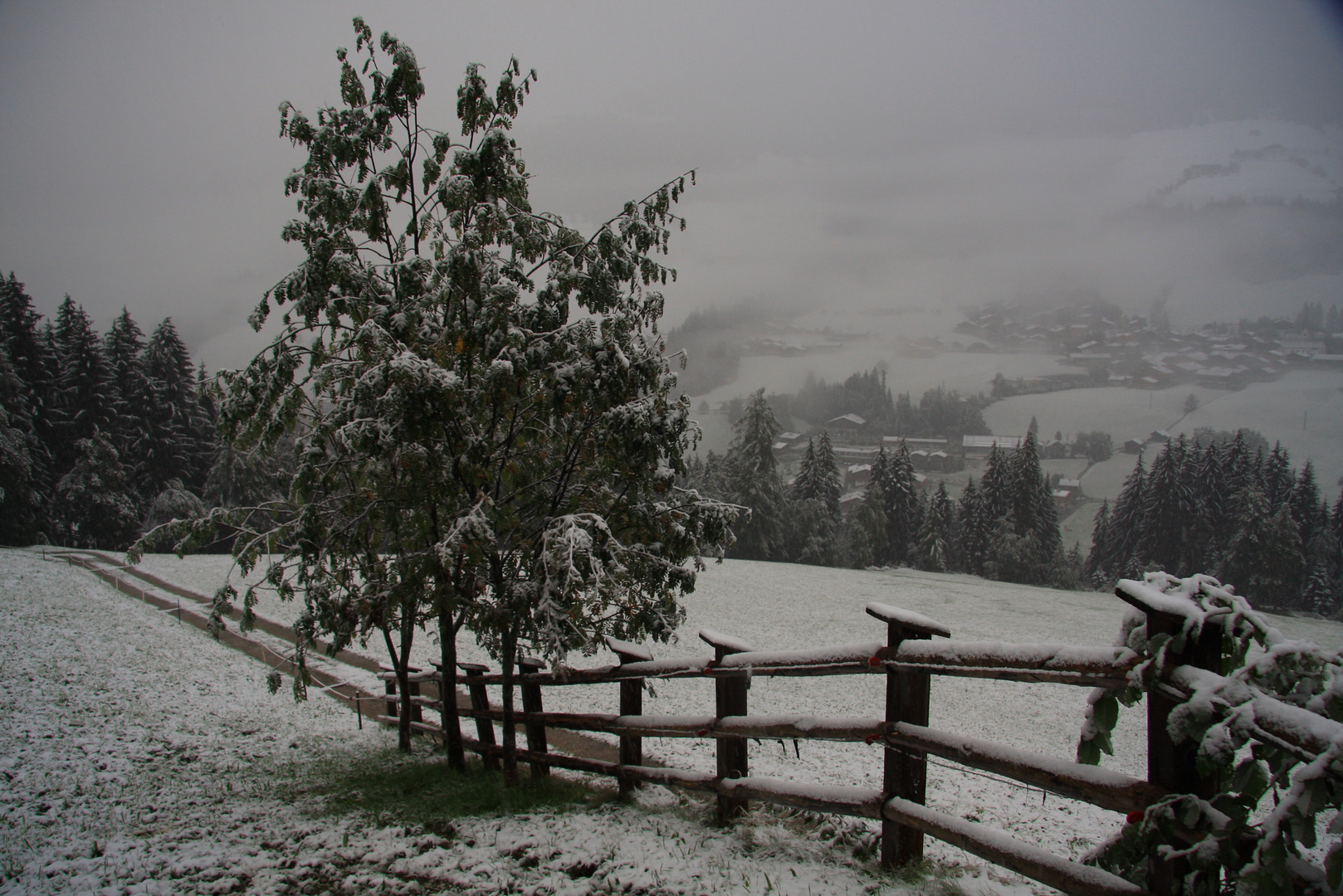 Das Tal hat sein winterlich Kleid angelegt...