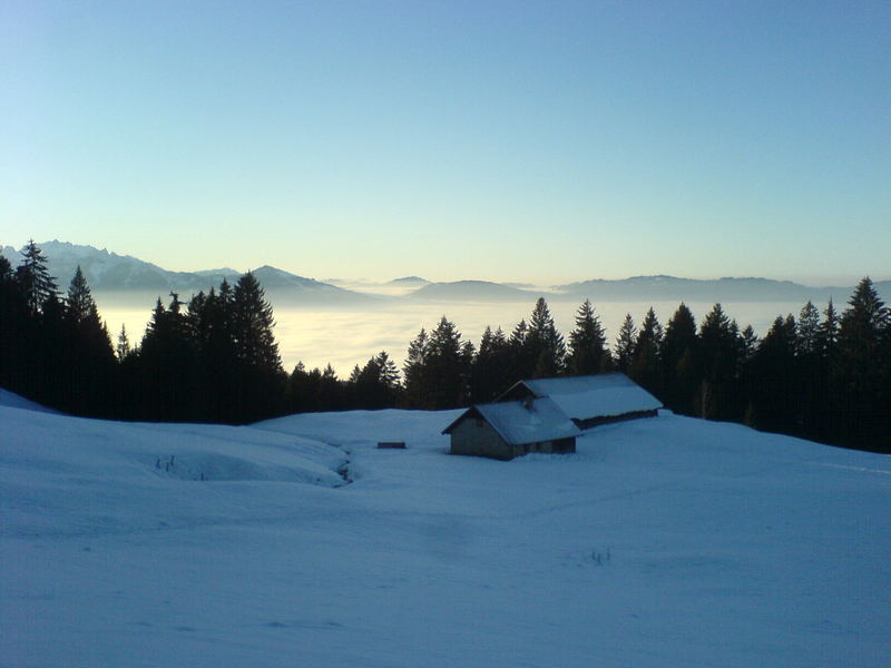 Das Tal im Nebel