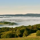 Das Tal ist voll Nebel, letzte Woche bekam ich den ersten fotogenen Nebel in Eulenbis vor die Linse.