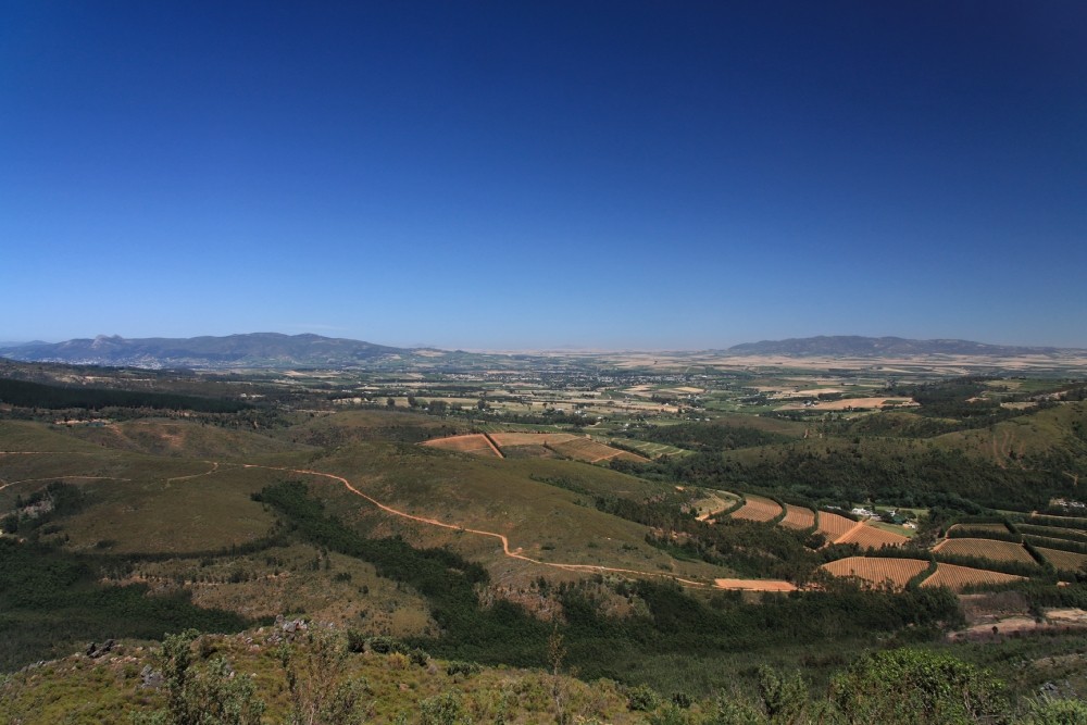 Das Tal von Paarl in Südafrika 2