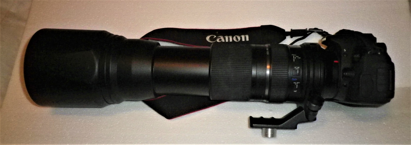 Das Tamron 150-600 