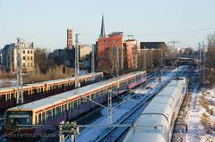 DAS TAPFERE SCHNEIDERLEIN -