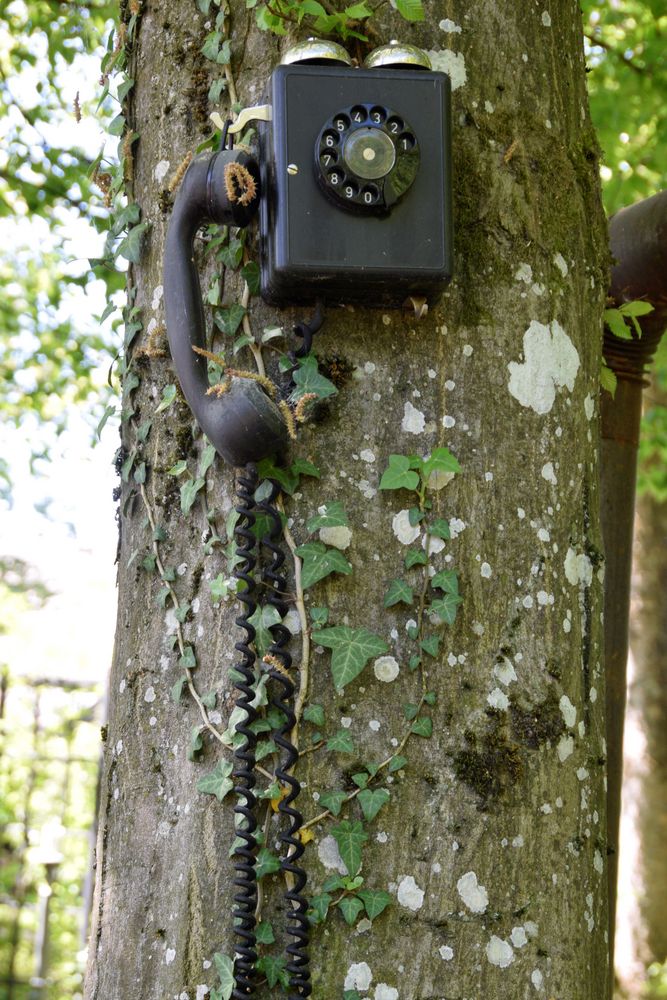 Das Telefon von damals!