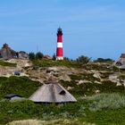 Das Teletubbieland liegt in Wirklichkeit auf Sylt