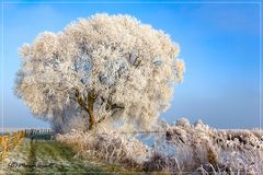 Das Teufelsmoor  - ein Wintermärchen