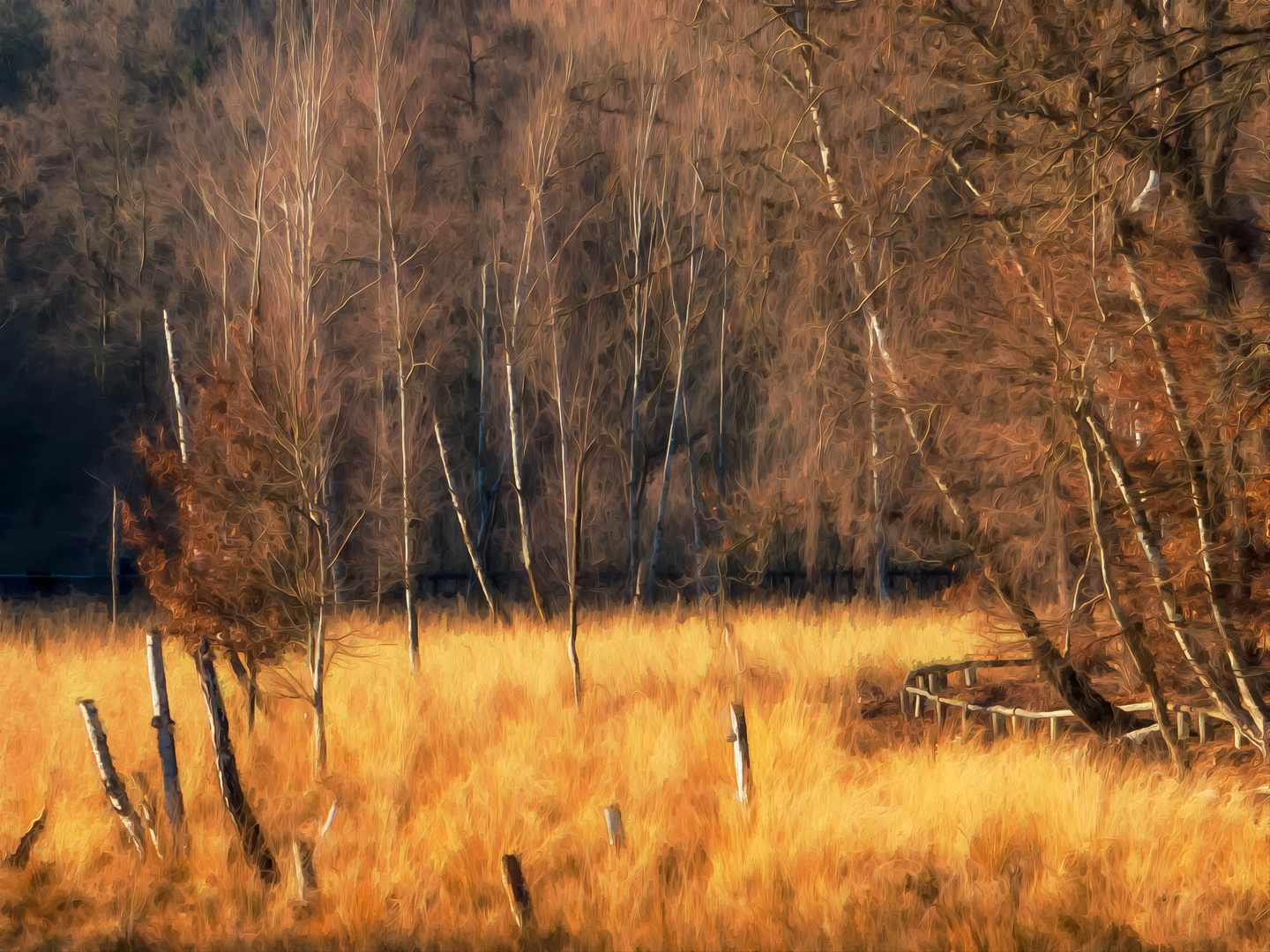 Das Teufelsmoor in der Wintersonne