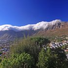 das Tischtuch vom Tafelberg