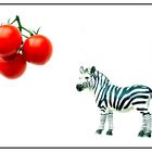 Das Tomatenzebra