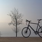 Das Tool am Zugersee