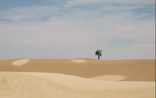 "das toooor zur sahara"