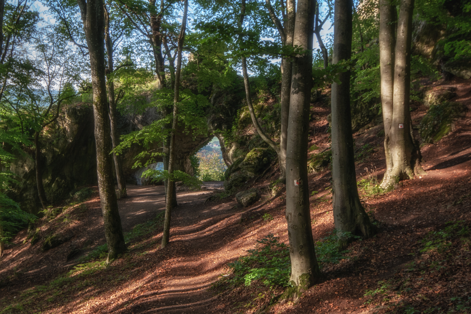 Das Tor im Wald