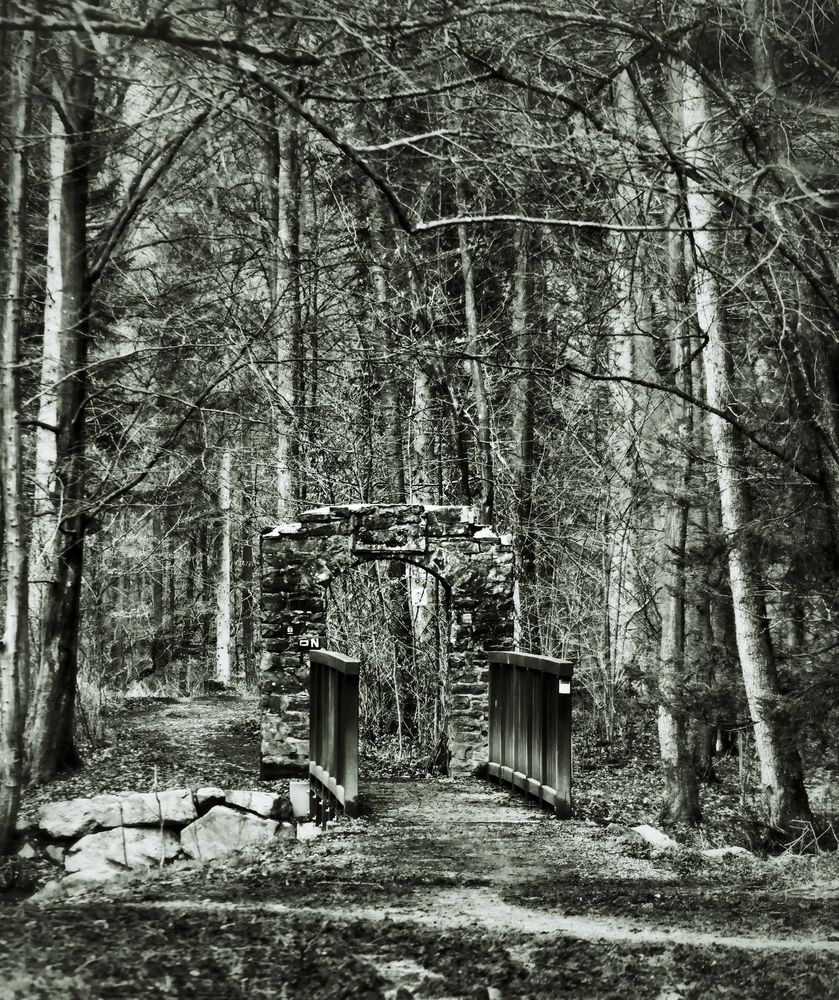 Das Tor in den Wald