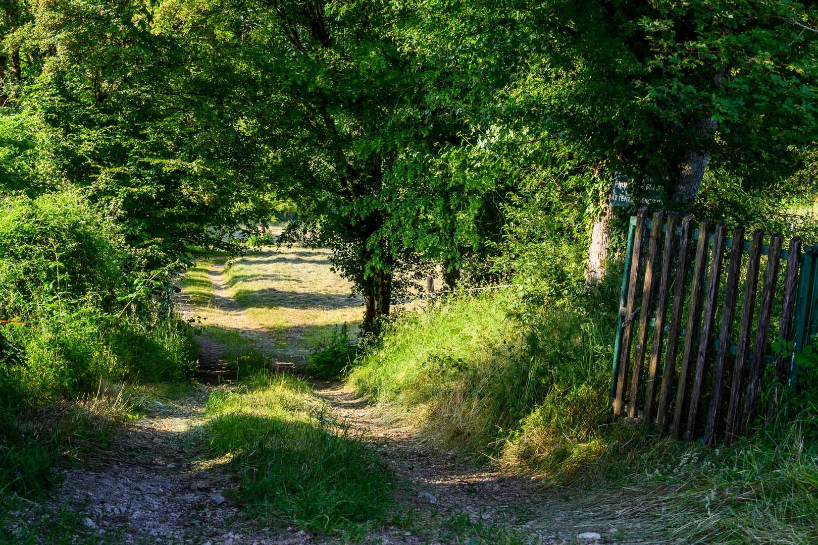 Das Tor ins Grüne - La porte du vert