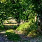 Das Tor ins Grüne - La porte du vert