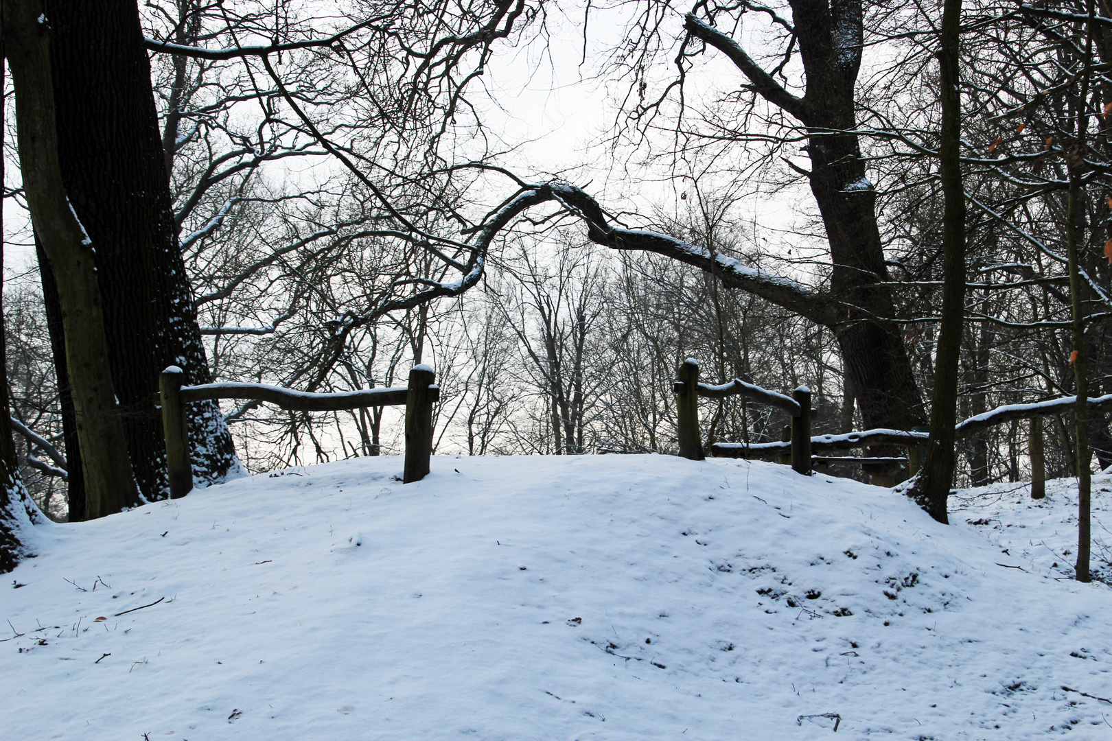 Das Tor: Tritt ein in den Park!