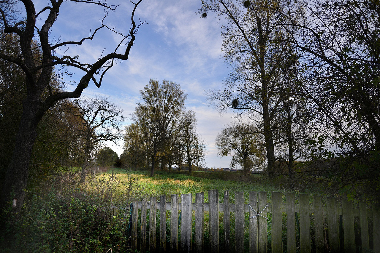 das Tor zum anderen Garten