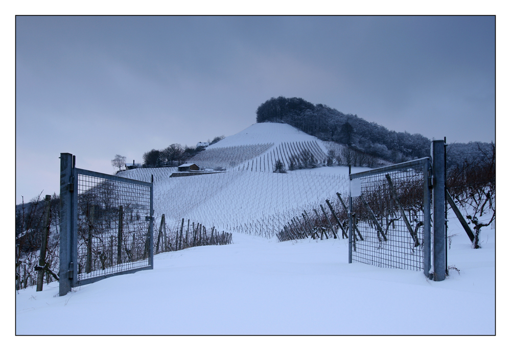 Das Tor zum Frankenwein