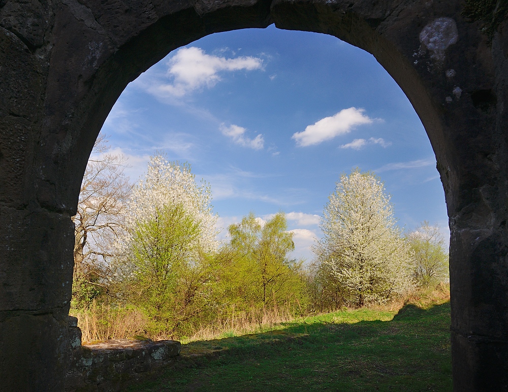 Das Tor zum Frühling, aufgenommen heute 6.04.14 bei der 4 Burgenwanderung im Grenzgebiet...