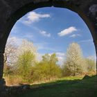 Das Tor zum Frühling, aufgenommen heute 6.04.14 bei der 4 Burgenwanderung im Grenzgebiet...